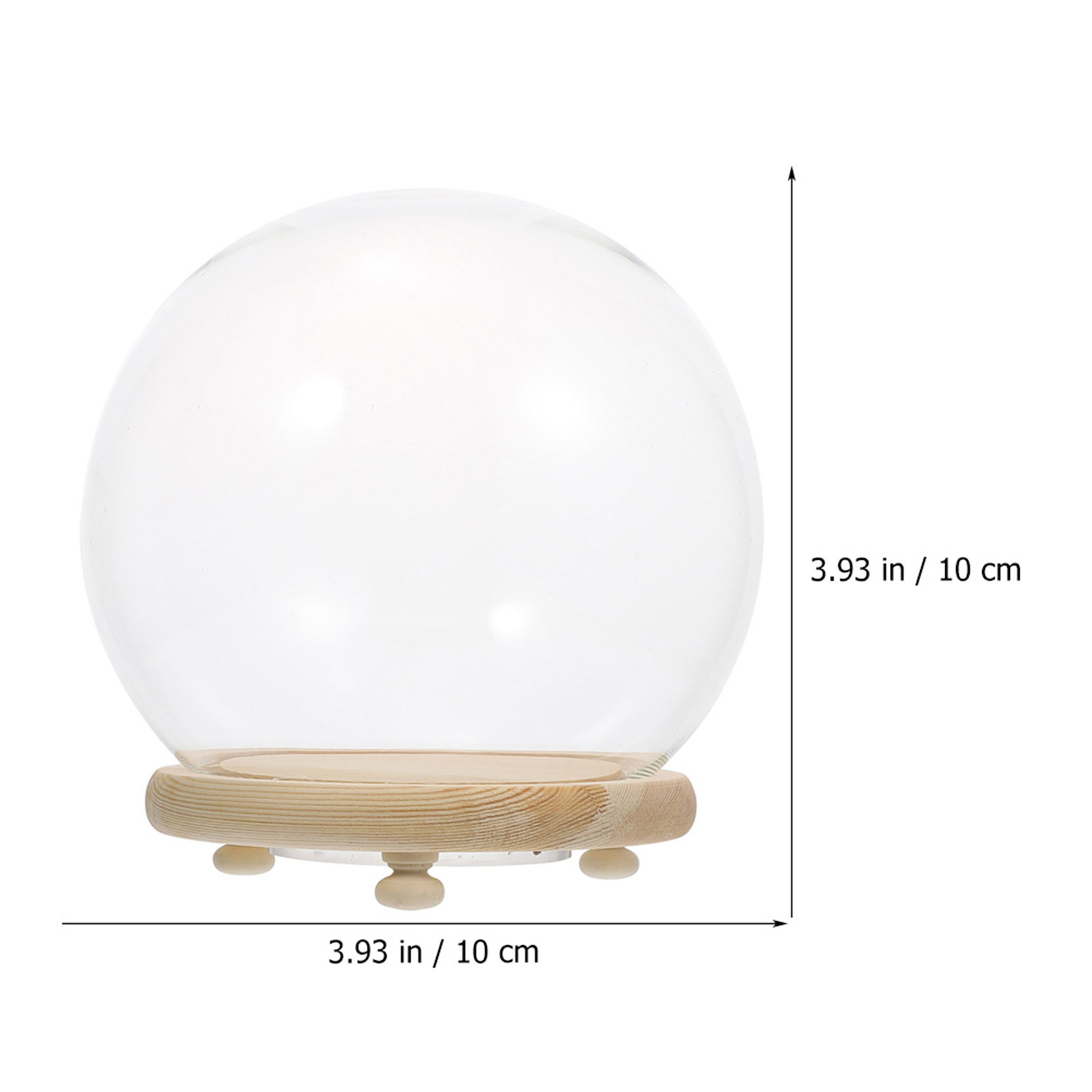 Стеклянный купол с деревянным  – обзор и цена Plastic Dome Clear