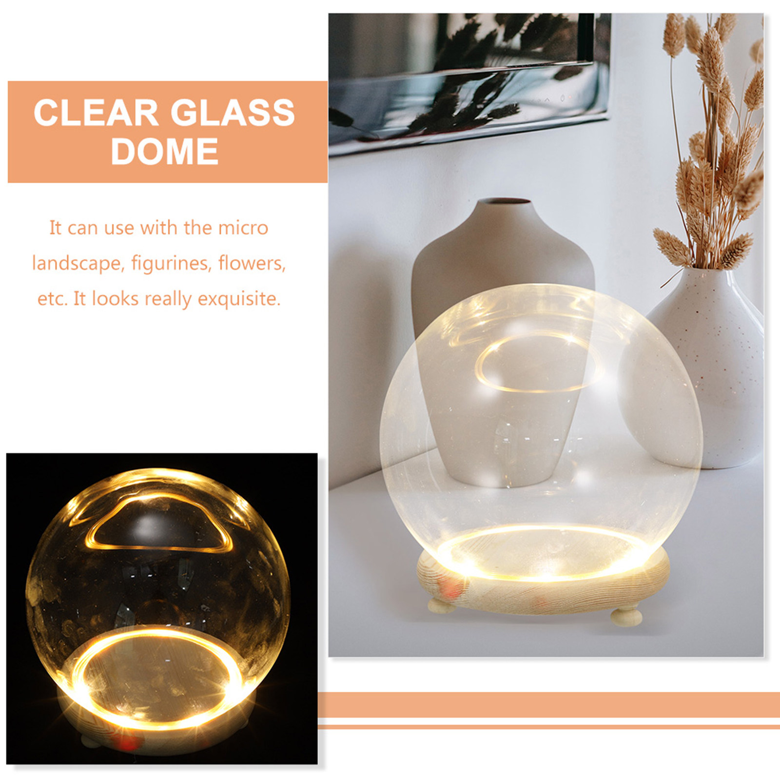 Стеклянный купол с деревянным  – обзор и цена Plastic Dome Clear