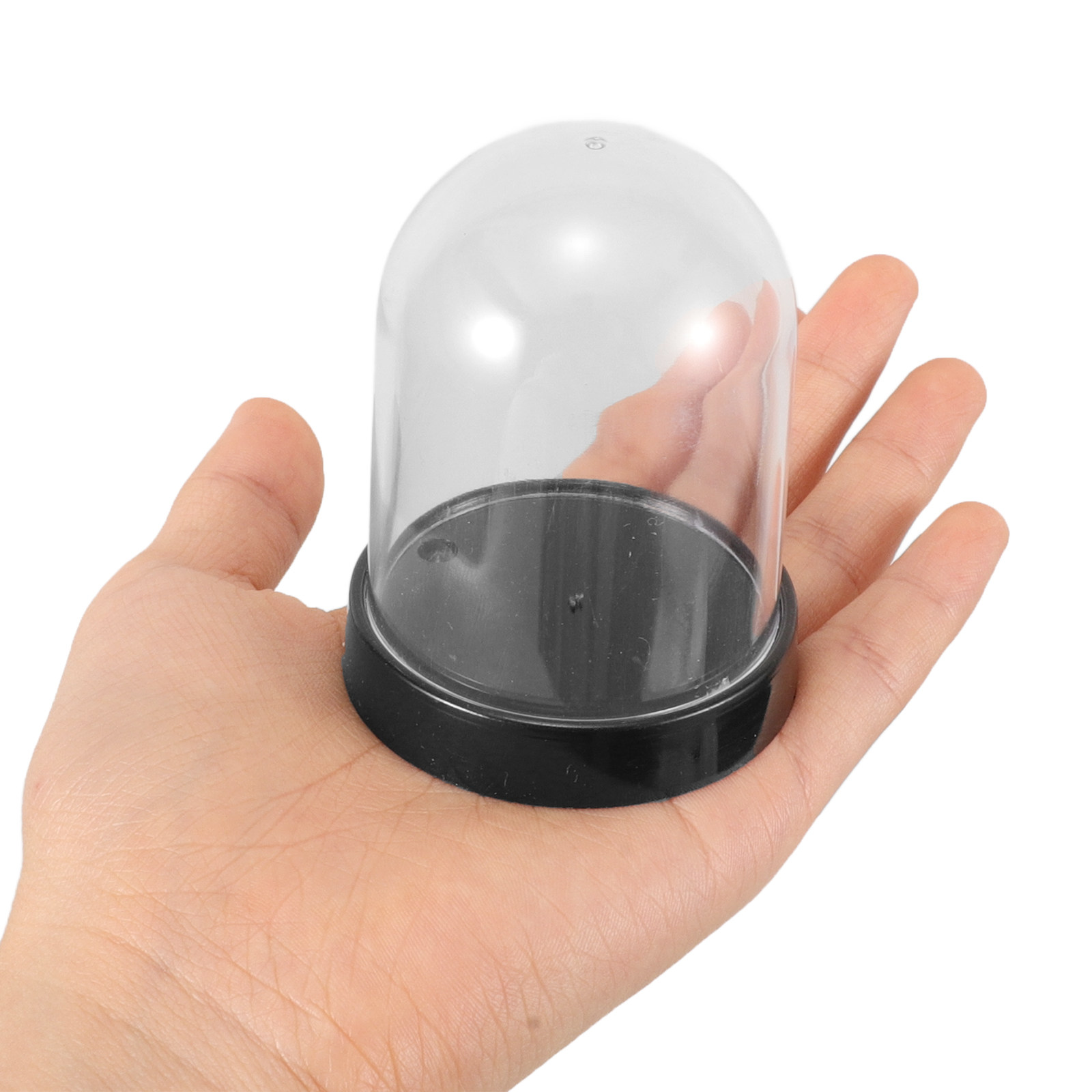 5 комплектов купольных декорат – обзор и цена Plastic Dome Clear
