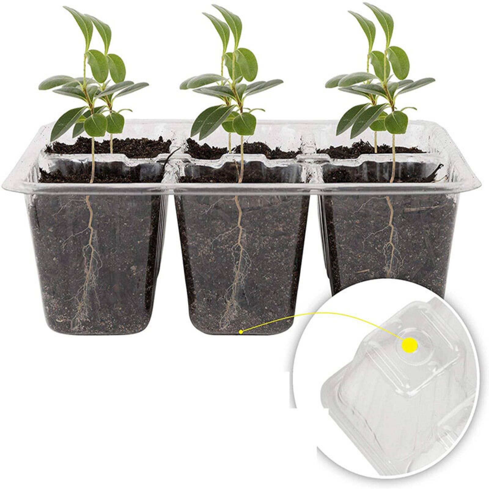 Лоток для проращивания на 12 я – обзор и цена Humidity Dome Kit